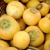 NAVETS JAUNE Boule d'or (LE KG)