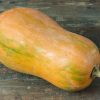 COURGES SUCRINES DU BERRY (LE KG)