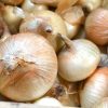 OIGNONS DOUX type Cévennes (LE KG)