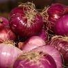 OIGNONS ROUGE  Morada (LE KG)